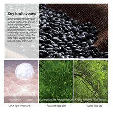 Load image into Gallery viewer, Lip Plumping Gloss