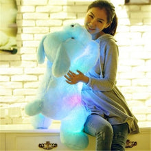 Load image into Gallery viewer, Luminous LED Plush Dog